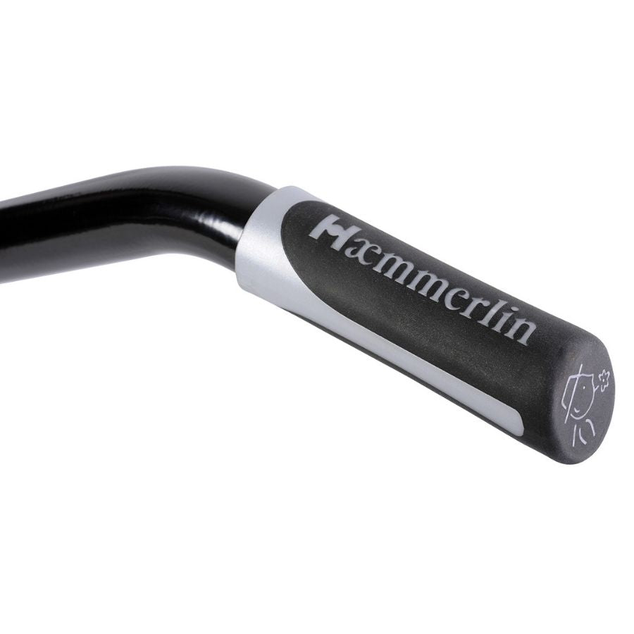 Brouette agricole à fumier peinte en vert avec deux roues increvables