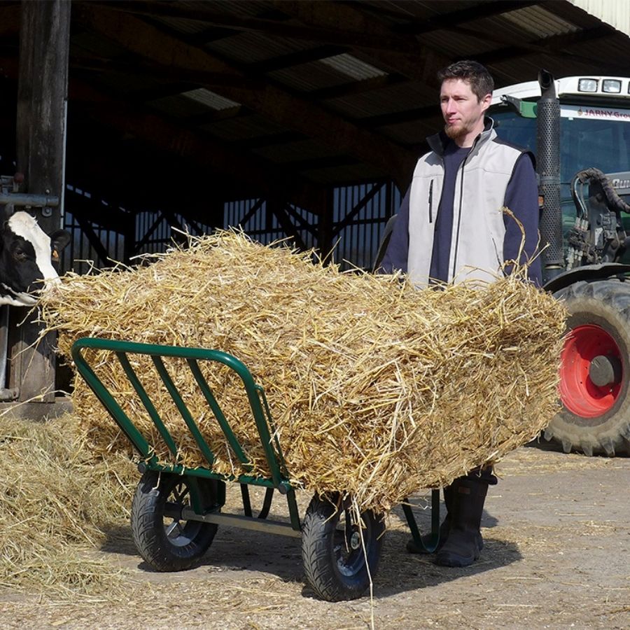 Brouette agricole à fumier deux roues gonflées résistance 380 kg