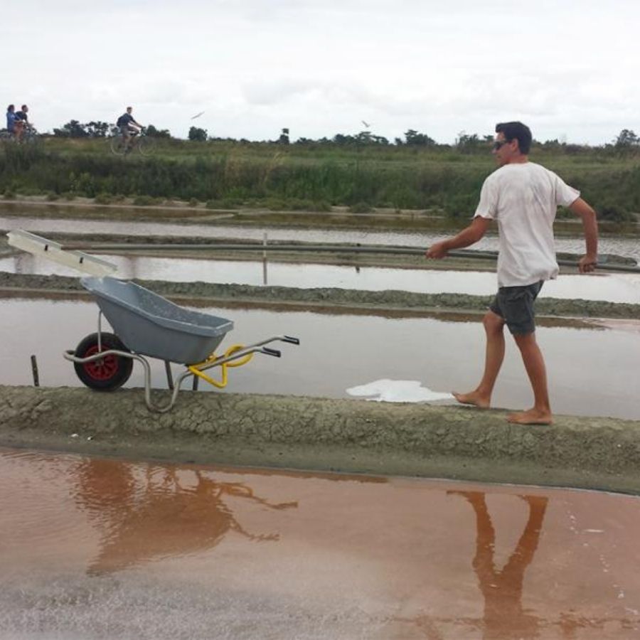 Brouette spéciale salines Anti-corrosion transport d'aliments